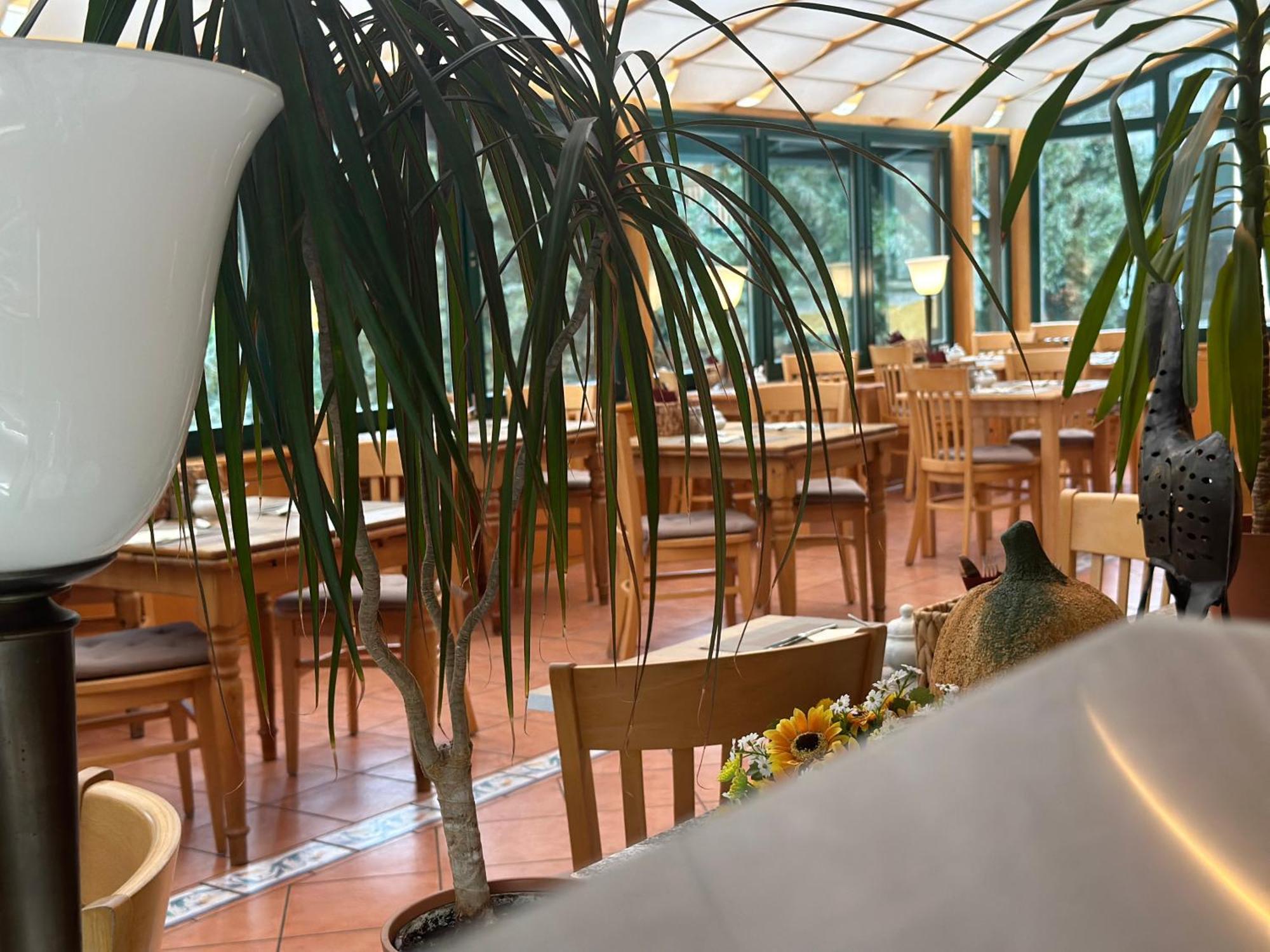 Landhotel Harz 탈레 외부 사진