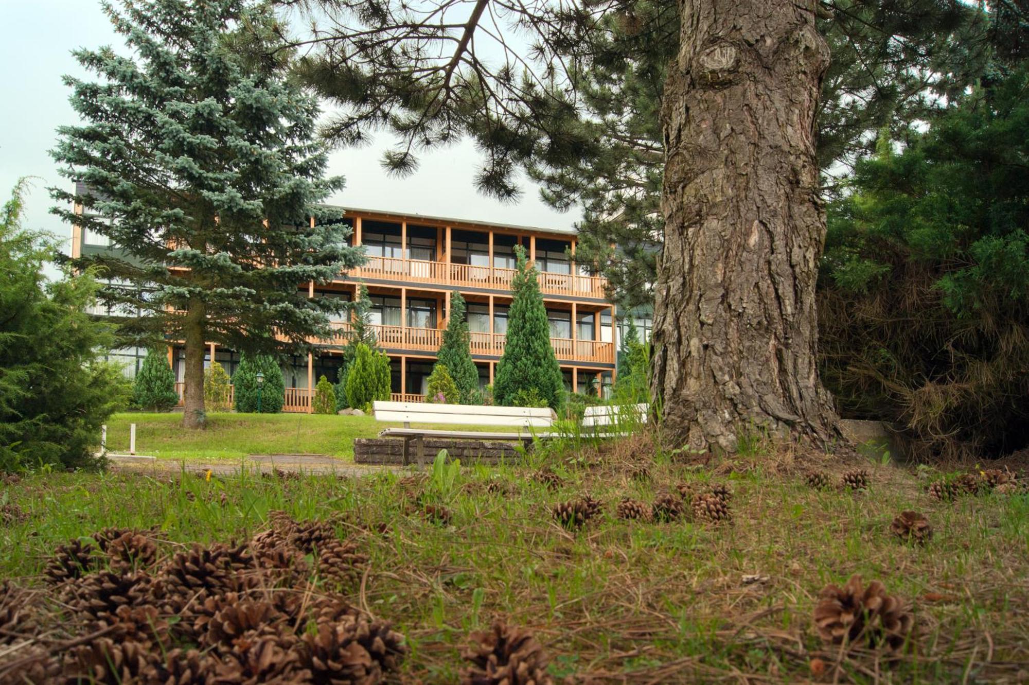 Landhotel Harz 탈레 외부 사진