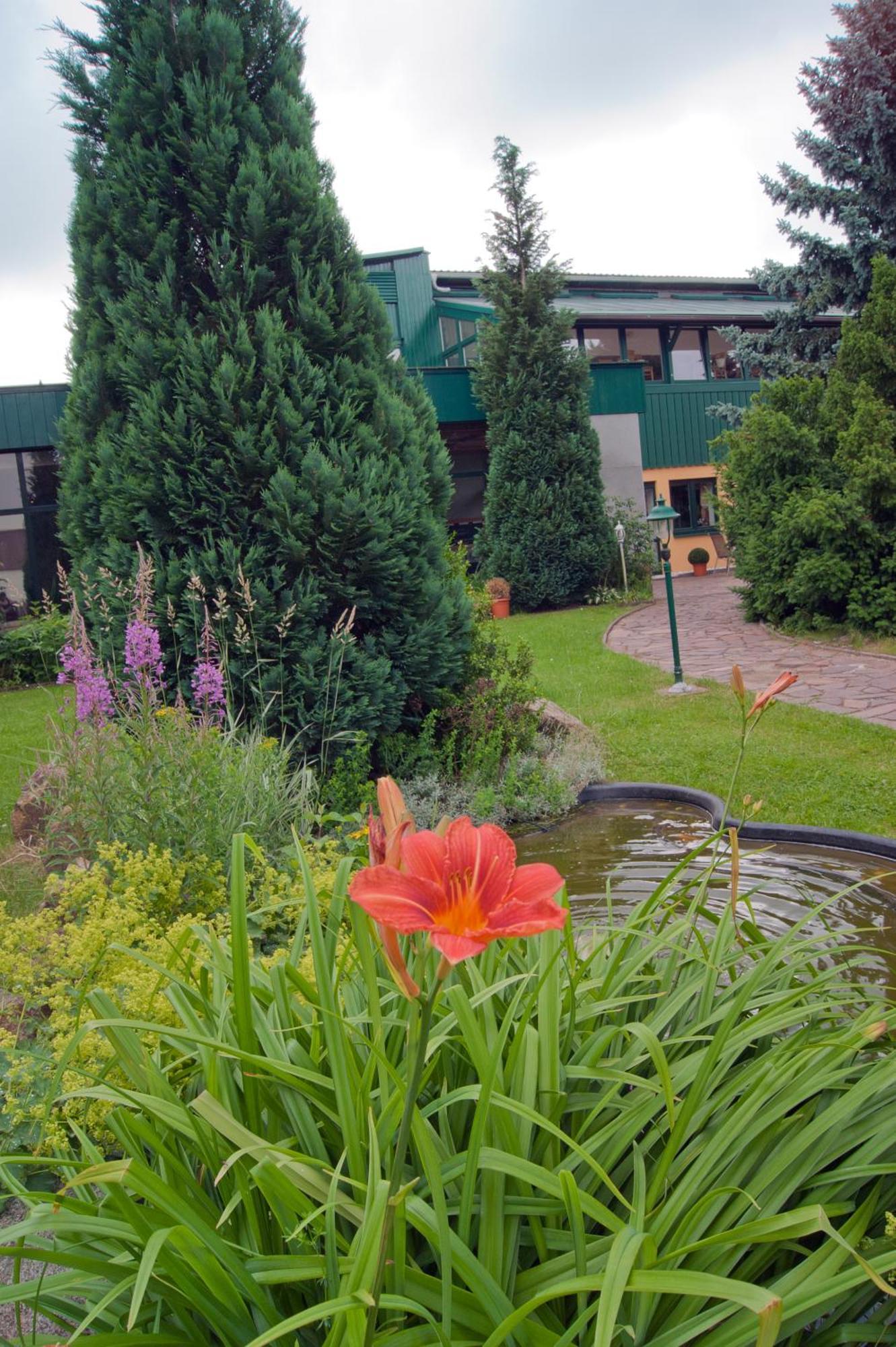 Landhotel Harz 탈레 외부 사진